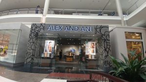 ALEX AND ANI Depew New York