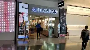 ALEX AND ANI Enterprise Nevada